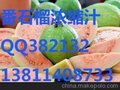 供应浓缩番石榴汁