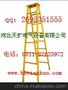 北京新绝缘梯价格绝缘梯批发 绝缘梯厂家2013认准《天扩》
