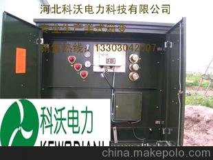10KV美式箱式變電站圖片