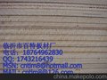 质量保证，价格优势，百特奥古曼是您