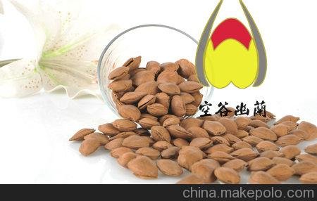 杏仁供應(yīng)開口杏核手剝銀杏杏核的吃法圖片