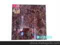 供应利华多种广东利华抛光砖地砖量大优惠