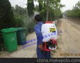 蝇类的控制,家里有蚂蚁,洛阳灭蟑螂,洛阳杀虫公司