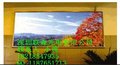 室内P4彩色LED显示屏