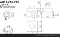 AH12-213-P13矿灯开关，按钮开关厂家