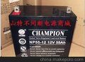 供应NP33-12 12V33AH蓄电池