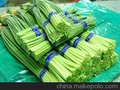 供应加工金乡大蒜金乡大蒜加工出口2013