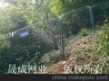 防护网，军事基地防护网，营区铁丝网，军营防护网