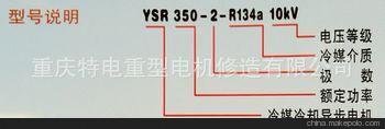 YSRϵȫհѹ첽綯