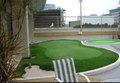 供应golfking高尔夫人造果岭