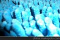 全棉雪尼尔