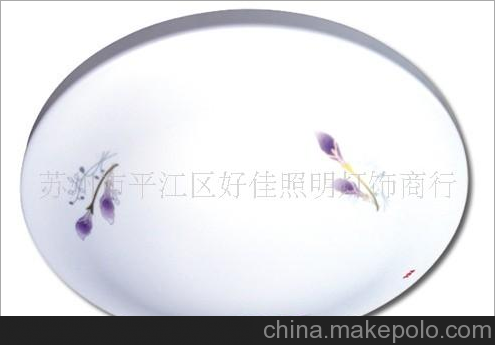 供應(yīng)批發(fā)TCL照明吸頂燈系列圖片