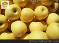 供应烟台金帅苹果