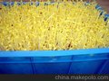 全自动豆芽机环保天然豆芽机