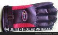 男网运动