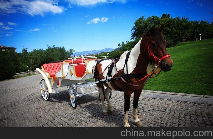 歐式、休閑、旅游觀(guān)光馬車(chē)圖片