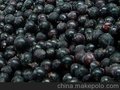 2011年速冻黑加仑（Black currant）