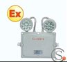 SG-Y002 LED防爆应急灯 LED应急灯