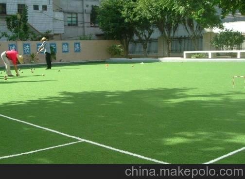 專業(yè)生產(chǎn)人造草坪 仿真草 人造草 上海丹麥館人造草坪圖片