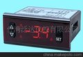 ED-300温控表(图)