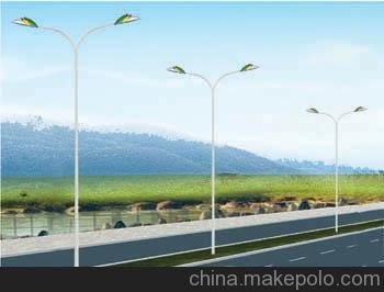 供應(yīng)四川巴中路燈燈桿 自貢6米燈桿 LED路燈圖片