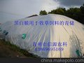 黑白功能膜生产厂家