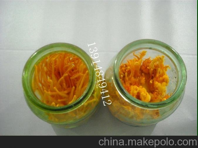 廠(chǎng)家直銷(xiāo)蟲(chóng)草瓶玻璃瓶組培瓶，培養瓶，蟲(chóng)草瓶食用菌瓶圖片