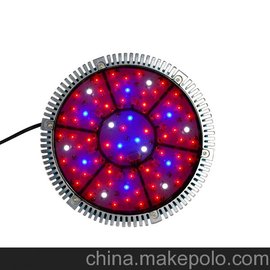 (yng)UFOled-ֲ