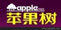 低碳防水免钉胶