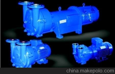 塑料擠出機(jī)西門子真空泵 片材擠出機(jī)納西姆真空泵 NASH泵管材擠出圖片