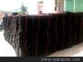 林芝排水板蓄水板植草格绿化排水板建筑排水板排水板价格排水板施工土工膜，hdpe土工膜#土工席垫