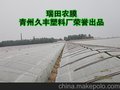 农膜、大棚膜、灌浆膜西瓜膜--青州久丰塑料厂