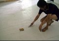 倍思得PVC抗静电地板－您的优选