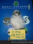 进口交联剂/进出口报关清关/化工品进口国家