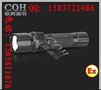 正辉 强光防爆手电筒 BXD6011欧辉灯具
