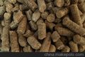 环保颗粒煤 广东高热值生物颗粒燃料
