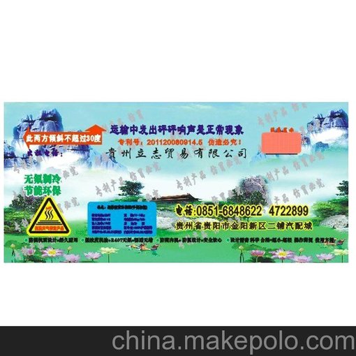 專業(yè)供應(yīng)手提冰棺冷凍器 冰棺材 遺體防腐冷凍器 水晶棺材 包郵圖片