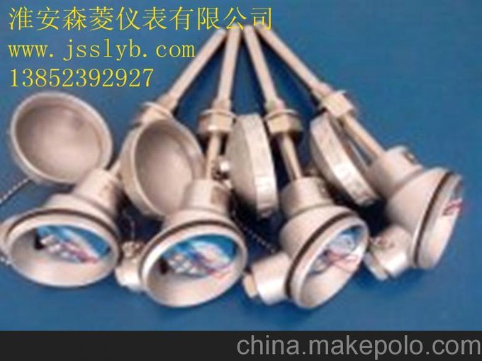溫度變送器、遠(yuǎn)傳溫度計(jì)、熱電阻變送器、熱電偶變送器、一體化圖片