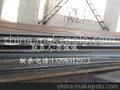12MnNiVR,SPV490Q
