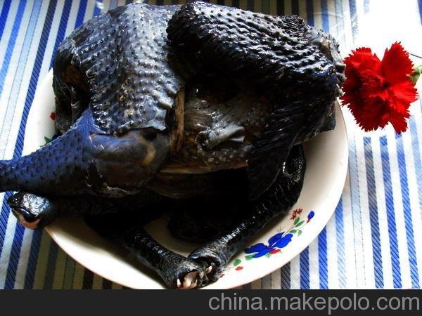 供應烏雞，蛋雞，肉雞，洋鴨，水鴨，老鴨等