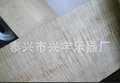 高级小提琴壳子 白坯实木枫木制作 直销 小提琴壳子