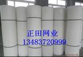塑料拉伸网 塑料过滤网 一次成型PE网