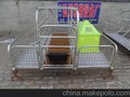 供应泊头弘昌新型加重泊头弘昌双体母猪产床保育床