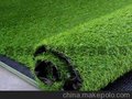 为您推荐较好的景观草坪