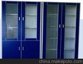 供应苏州全木、全钢器皿柜  实验室器皿柜