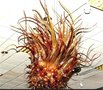 吹制玻璃元件
