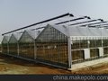 建设温室大棚的加工生产厂家