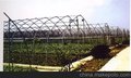 胜顺五金 大批量供应优质蔬菜温室大棚 大棚骨架