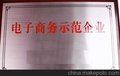 供应广州市电子商务示范企业申报辅导