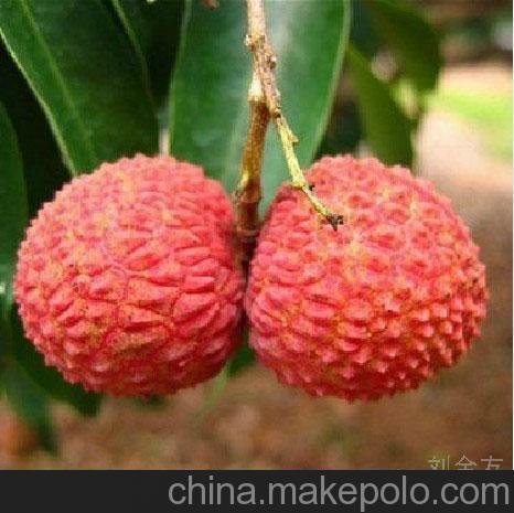 供應廣西靈山荔枝干！圖片